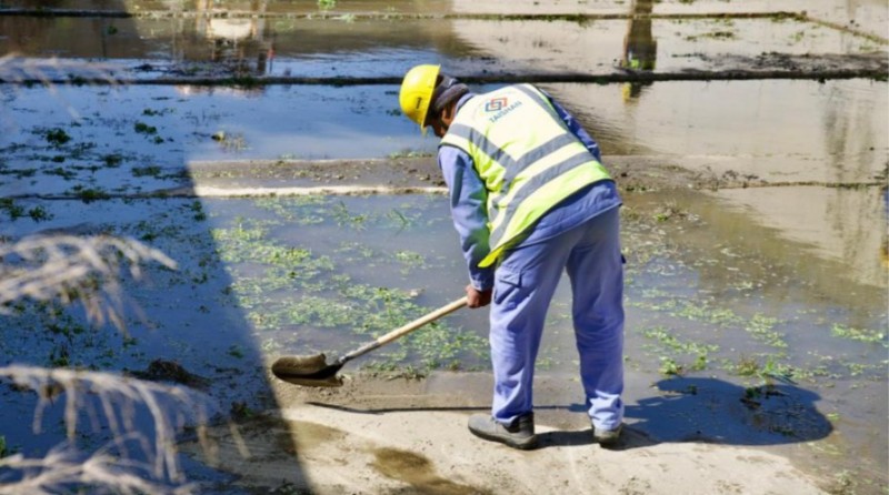 أمانة الباحة تكثف جهود تنظيف العبارات استعدادًا للأمطار أمانة الباحة تكثف جهود تنظيف العبارات استعدادًا للأمطار