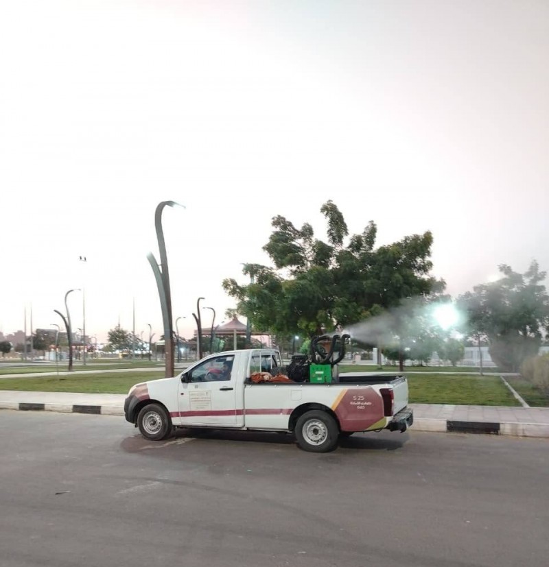 أمانة نجران تواصل جهودها في مكافحة آفات الصحة العامة