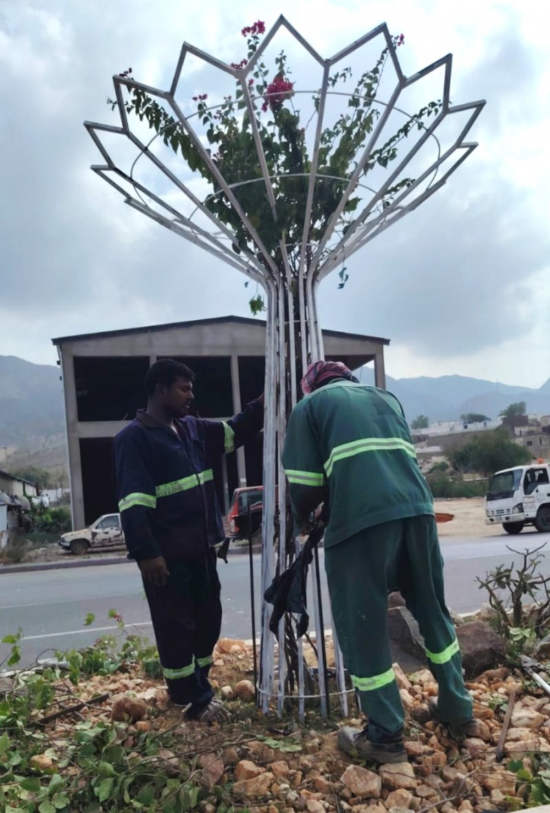 أعمال تحسين وتجميل للشارع العام في بحر أبو سكينة