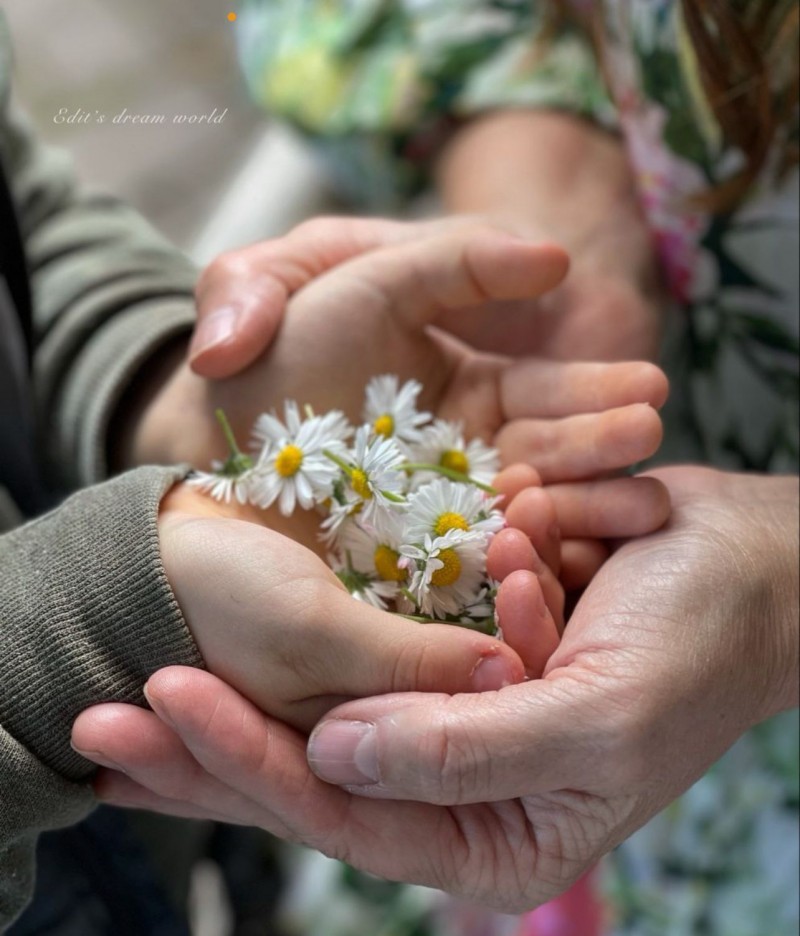 ردّ الجميل… حين يصبح الامتنان وفاء