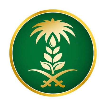 بيئة العاصمة المقدسة ترصد 6 مخالفات خلال جولات لحماية الثروة البحرية