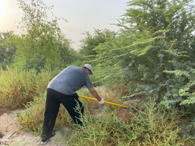 شباب البيئة بين غابة الغاف وبحيرة الأصفر