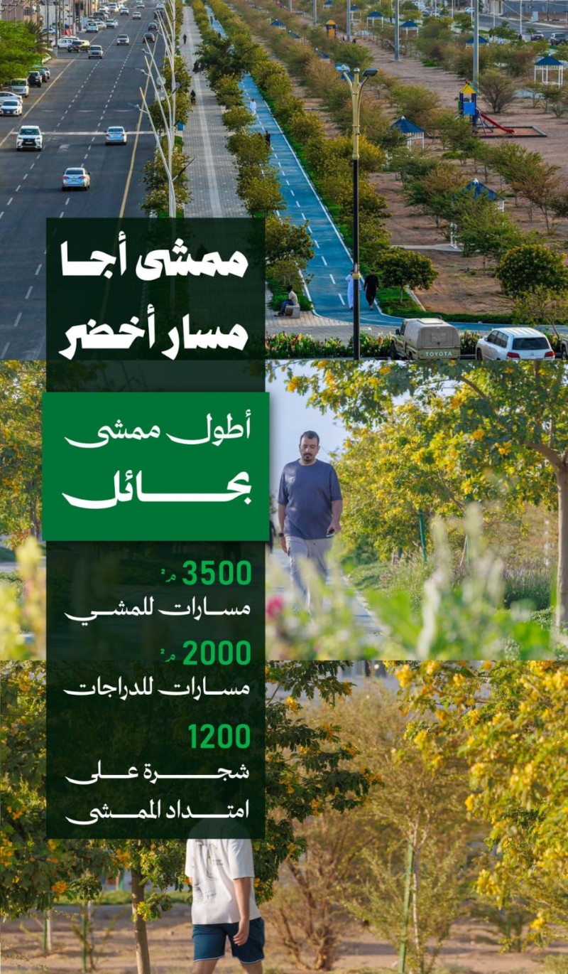 ممشى اجا أطول ممشى نموذجي بحائل