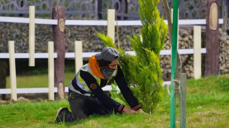 الاهتمام بجمالية المكان وجودة الحياة في الباحة