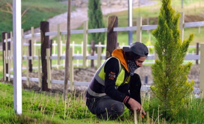 العناية بالمسطحات الخضراء تعزز استدامة الجمال في الباحة العناية بالمسطحات الخضراء تعزز استدامة الجمال في الباحة