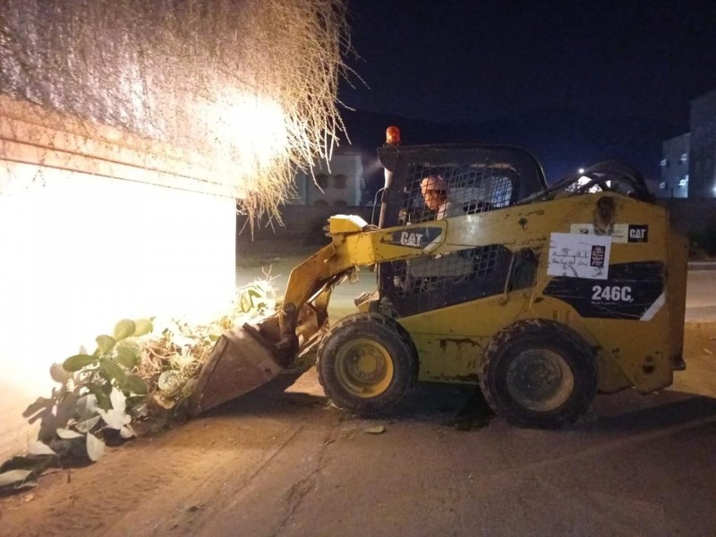 إزالة الأشجار وتحسين النظافة في أحياء بحر أبو سكينة إزالة الأشجار وتحسين النظافة في أحياء بحر أبو سكينة