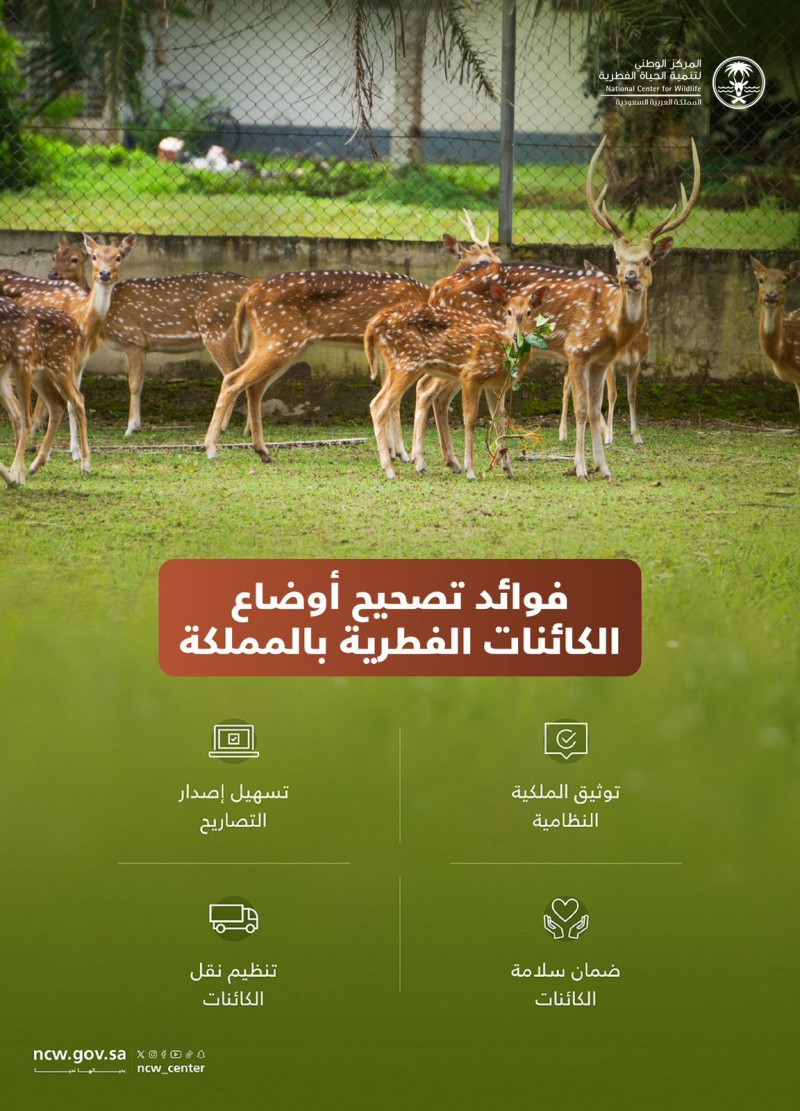 تصحيح أوضاع الكائنات الفطرية خطوة تنظيمية تعزز الملكية النظامية