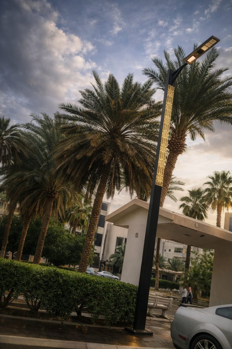 بين ظلال النخيل… حين تهمس المدن بحكاياتها