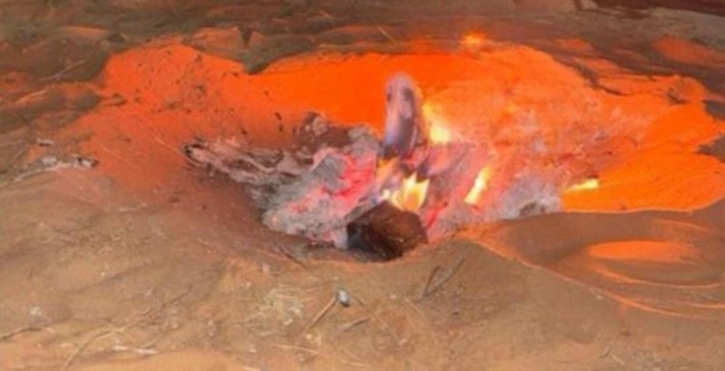 الأمن البيئي يضبط مخالفاً في محمية الملك عبدالعزيز