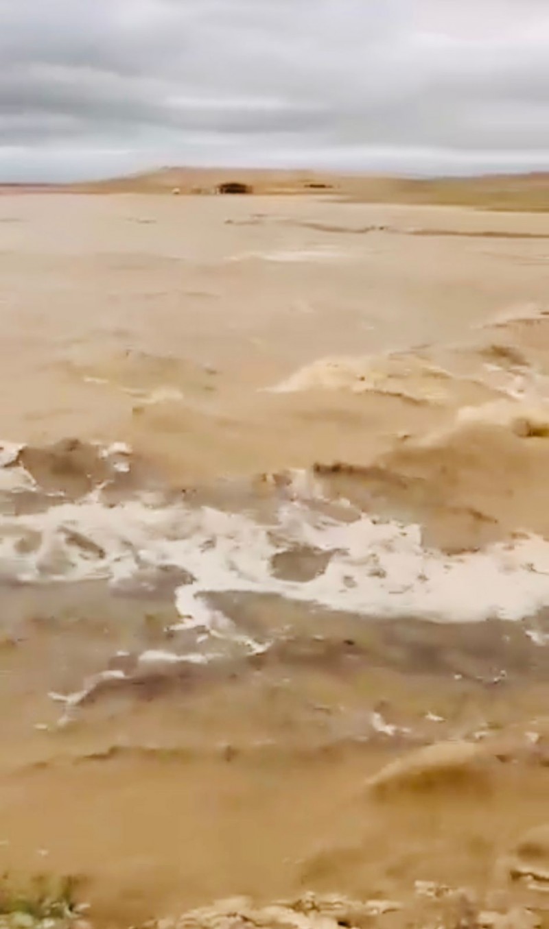 أمطار شوال تزين الصمان وترسم لوحات طبيعية خلابة