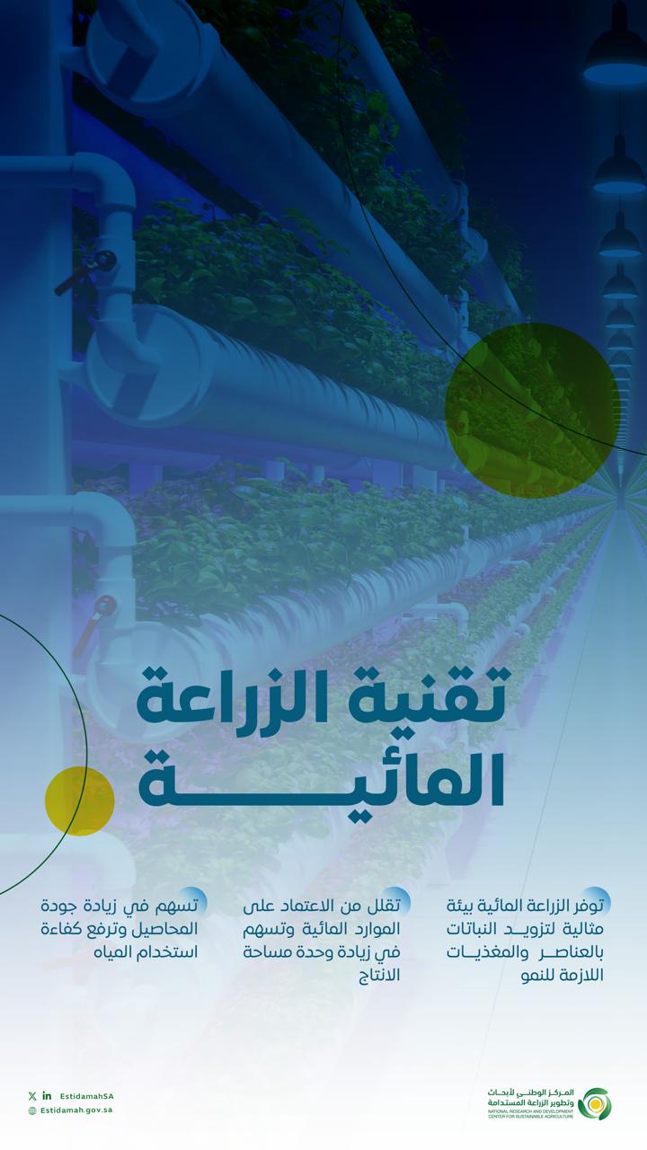 الزراعة المائية تعزز كفاءة الإنتاج واستدامة الموارد الزراعة المائية تعزز كفاءة الإنتاج واستدامة الموارد