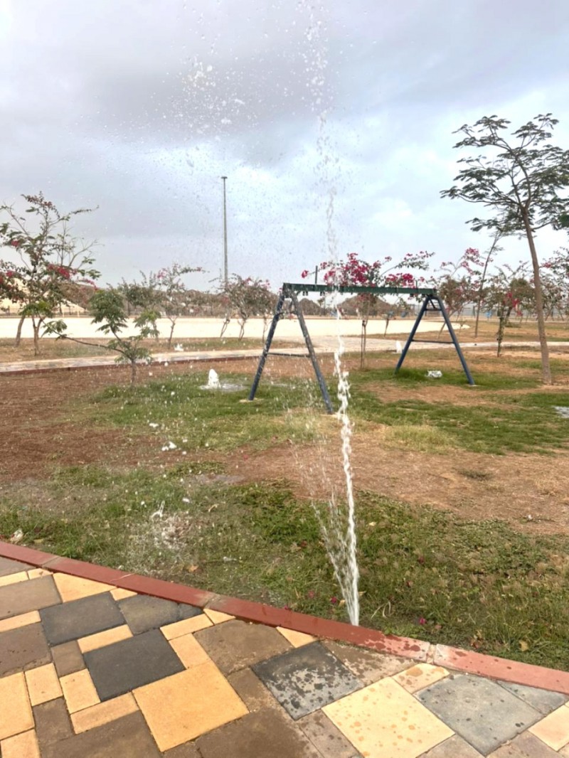 بلدية بحر أبو سكينة تواصل أعمال الزراعة والري في الحدائق بلدية بحر أبو سكينة تواصل أعمال الزراعة والري في الحدائق