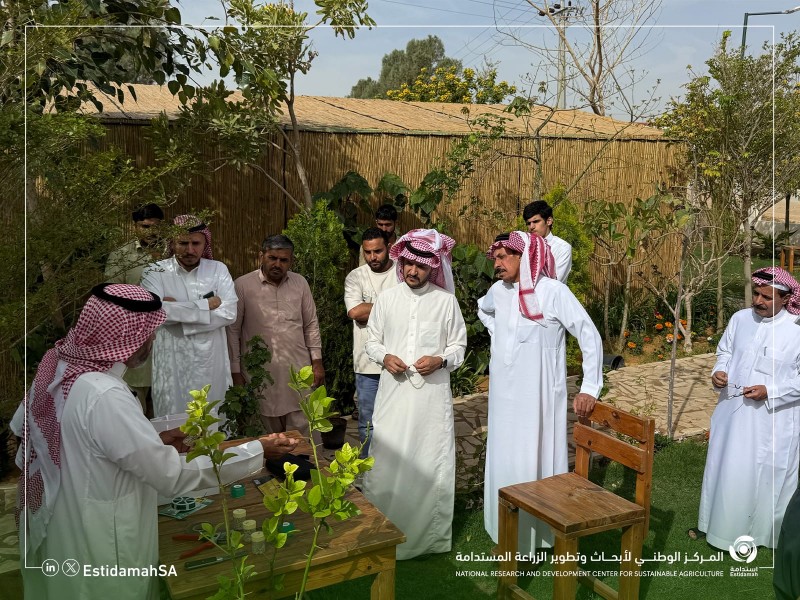 بيئة القصيم تنظم ورشة عمل حول تقنيات زراعة وإنتاج الحمضيات