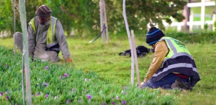 أمانة الباحة ترفع مستوى العناية بالمسطحات الخضراء