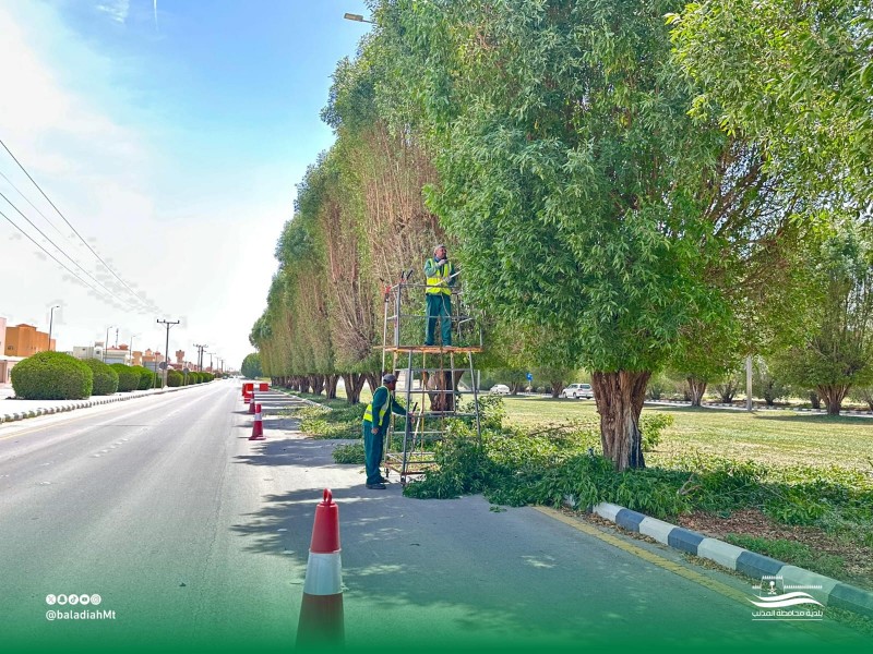 بلدية المذنب تنفذ أعمال تقليم الأشجار بطريق الملك فهد