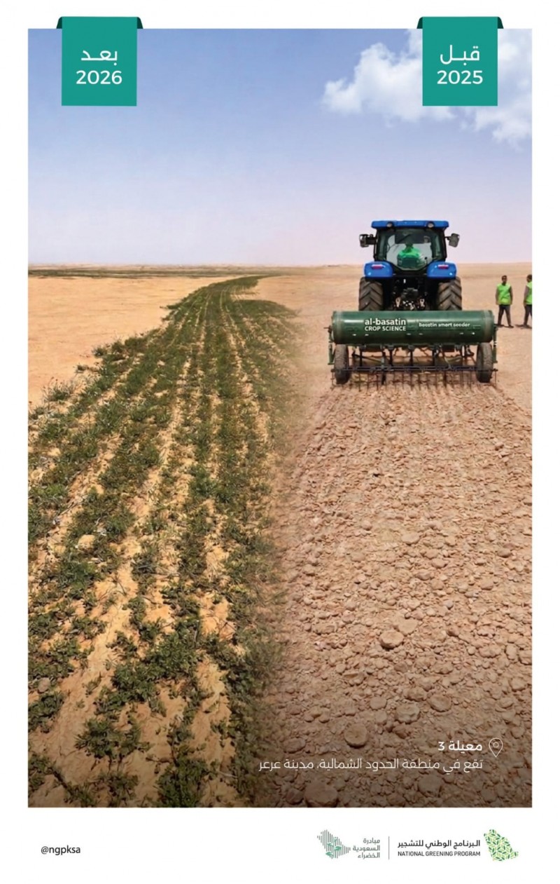 البرنامج الوطني للتشجير يواصل جهوده في إعادة لتأهيل البيئي في عرعر
