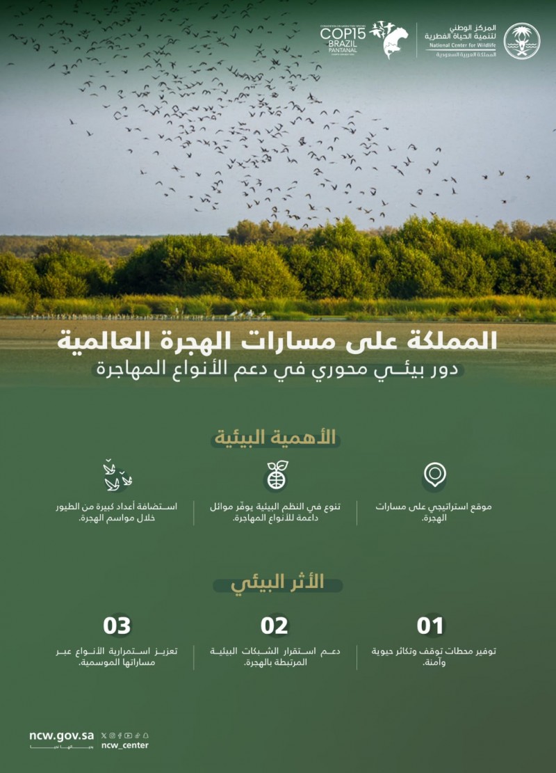 حماية الحياة الفطرية تدعم الأنواع المهاجرة واستدامة النظم البيئية