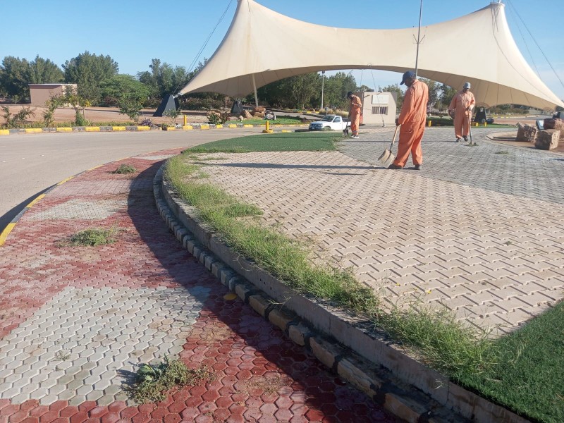 بلدية الأسياح تواصل إزالة الحشائش والأعشاب الضارة