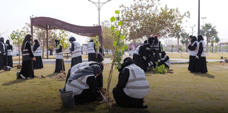 أمانة الأحساء تمكّن 200 طالب وطالبة من تحسين المشهد الحضري