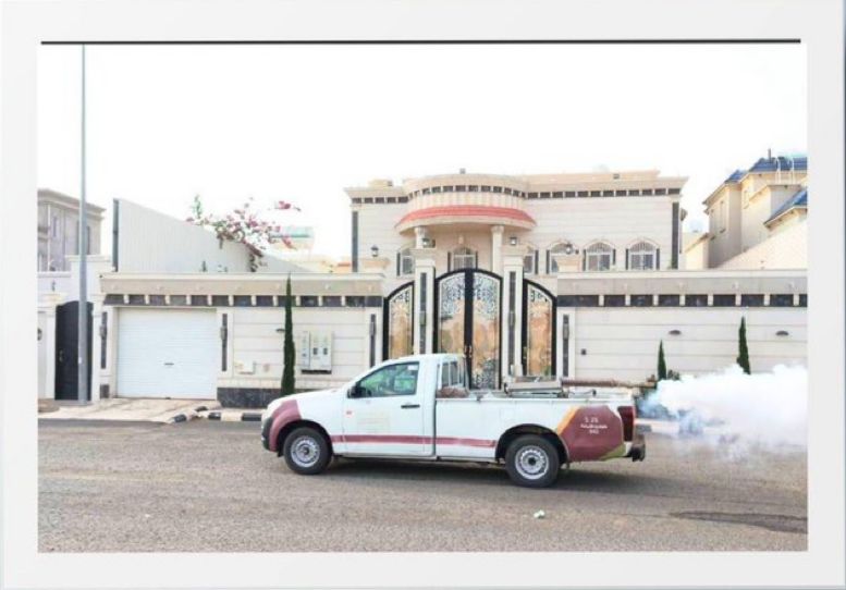 أمانة نجران تكثّف أعمال مكافحة آفات الصحة العامة