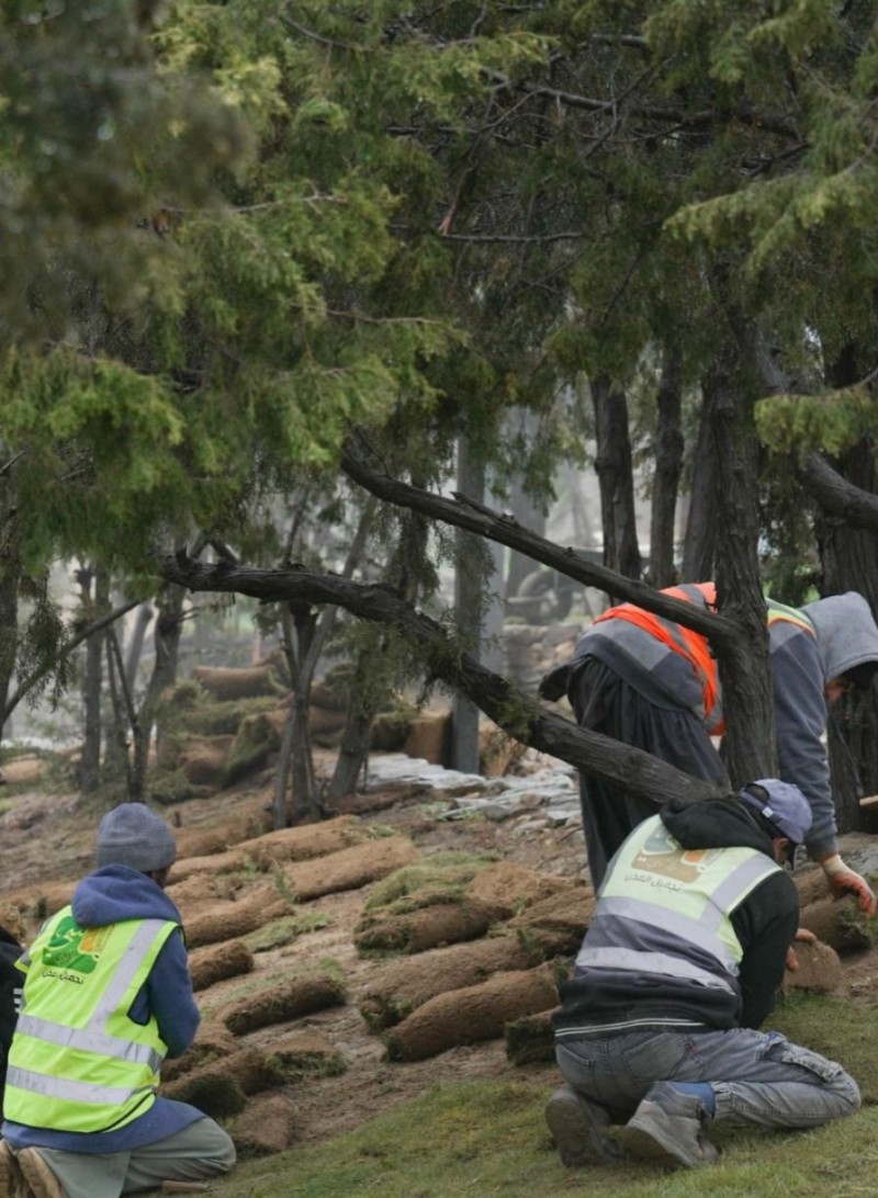 أمانة منطقة الباحة تواصل أعمال زراعة النجيل في الحدائق والمتنزهات