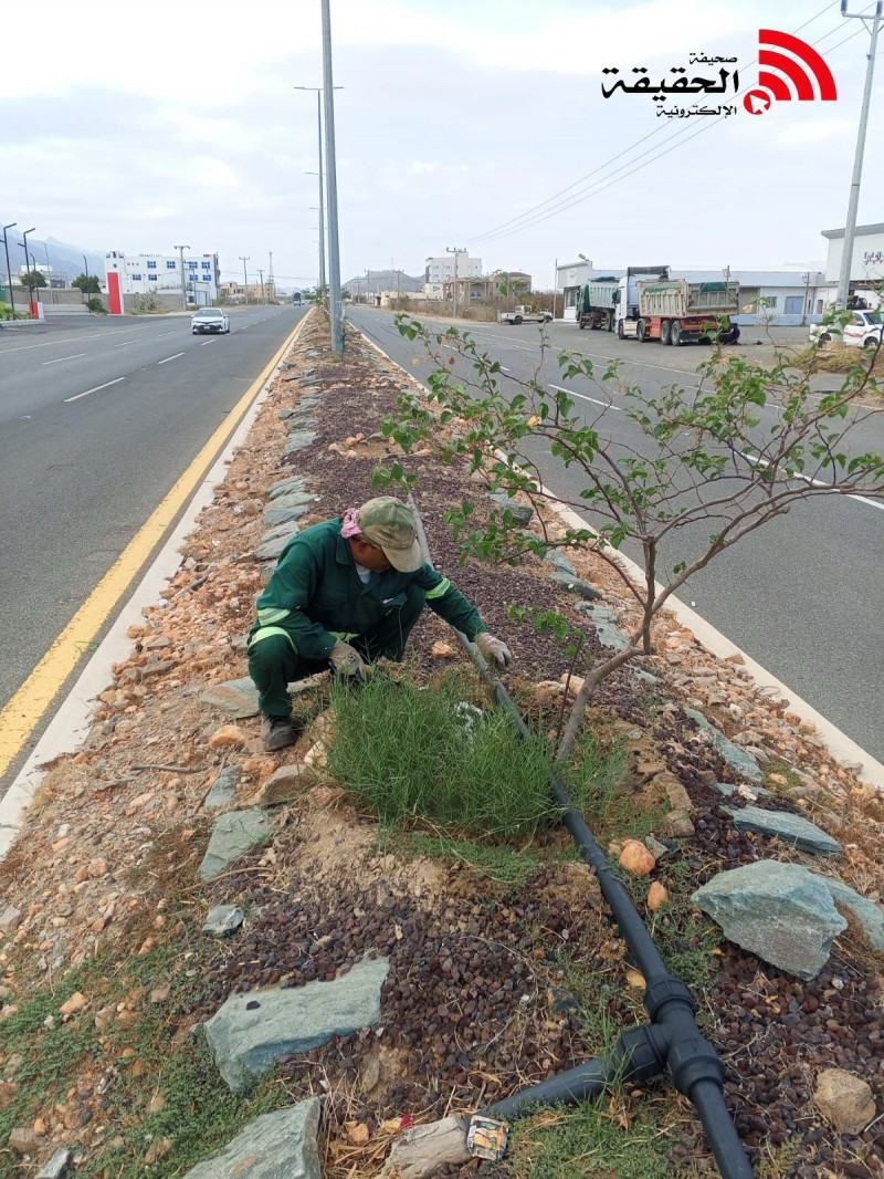 بلدية بحر أبو سكينة تواصل أعمال صيانة الجزيرة الوسطية للشارع العام