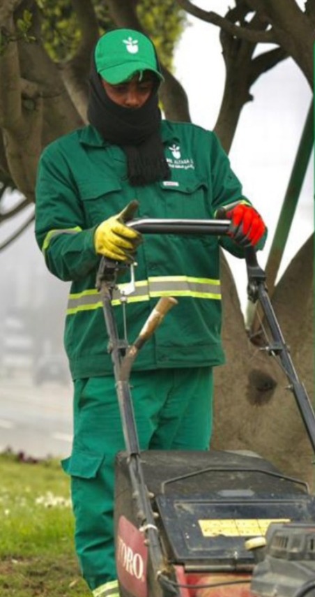 الاهتمام بالمسطحات الخضراء يعزز جمالية الطرق في الباحة