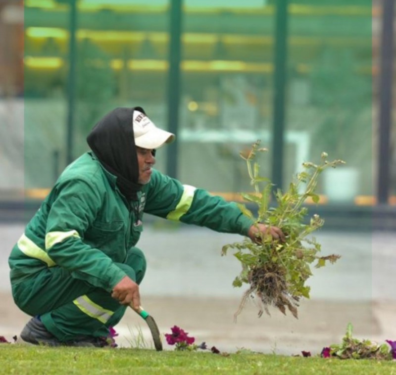 تحسين المحاور الرئيسية يعكس جودة العمل البلدي في الباحة