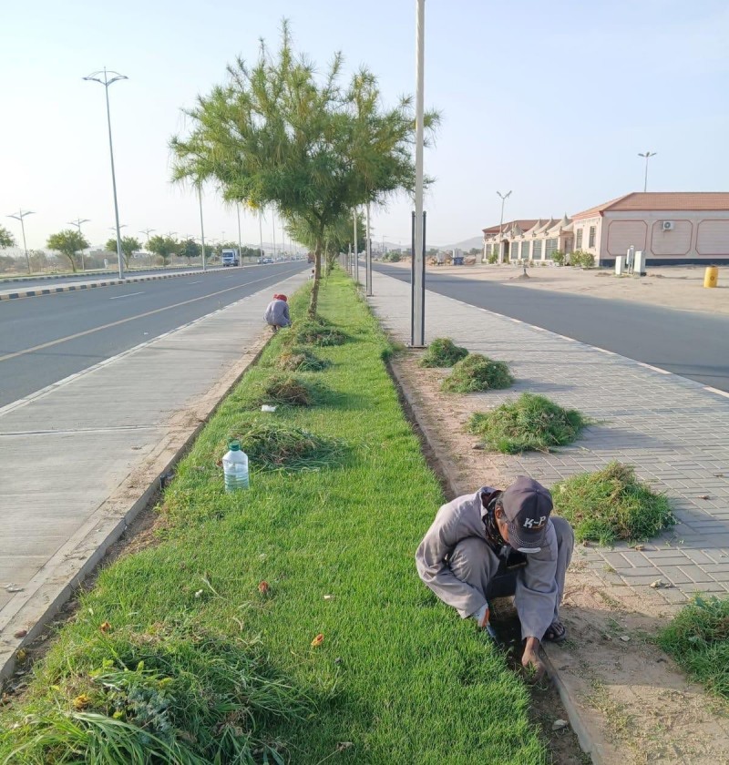 أمانة نجران تواصل جهودها في تحسين المشهد الحضري