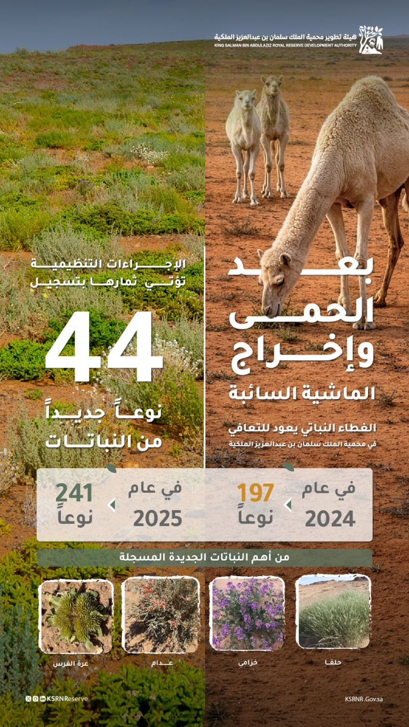 محمية الملك سلمان الملكية: جهود الحماية تعيد للأرض عافيتها