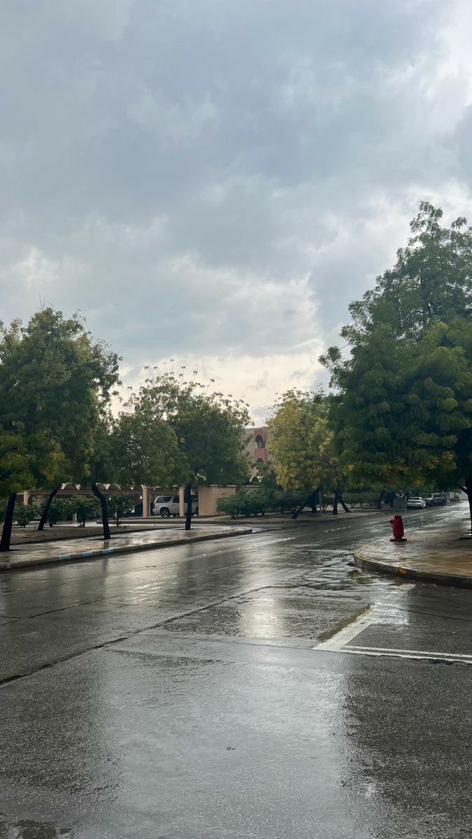 تقلبات جوية وأمطار رعدية تشهدها مناطق عدة بالمملكة