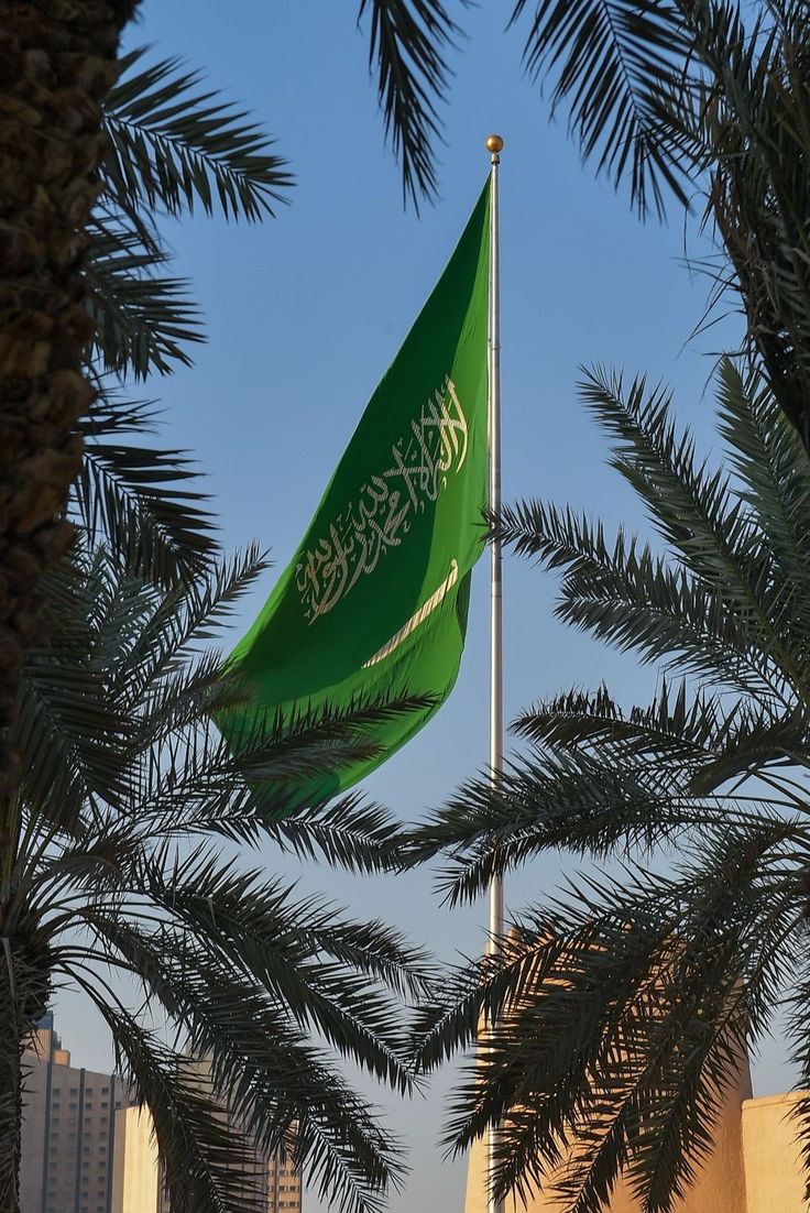 المملكة تعزز التزامها بالتنمية المستدامة في ظل التغيرات الديموغرافية