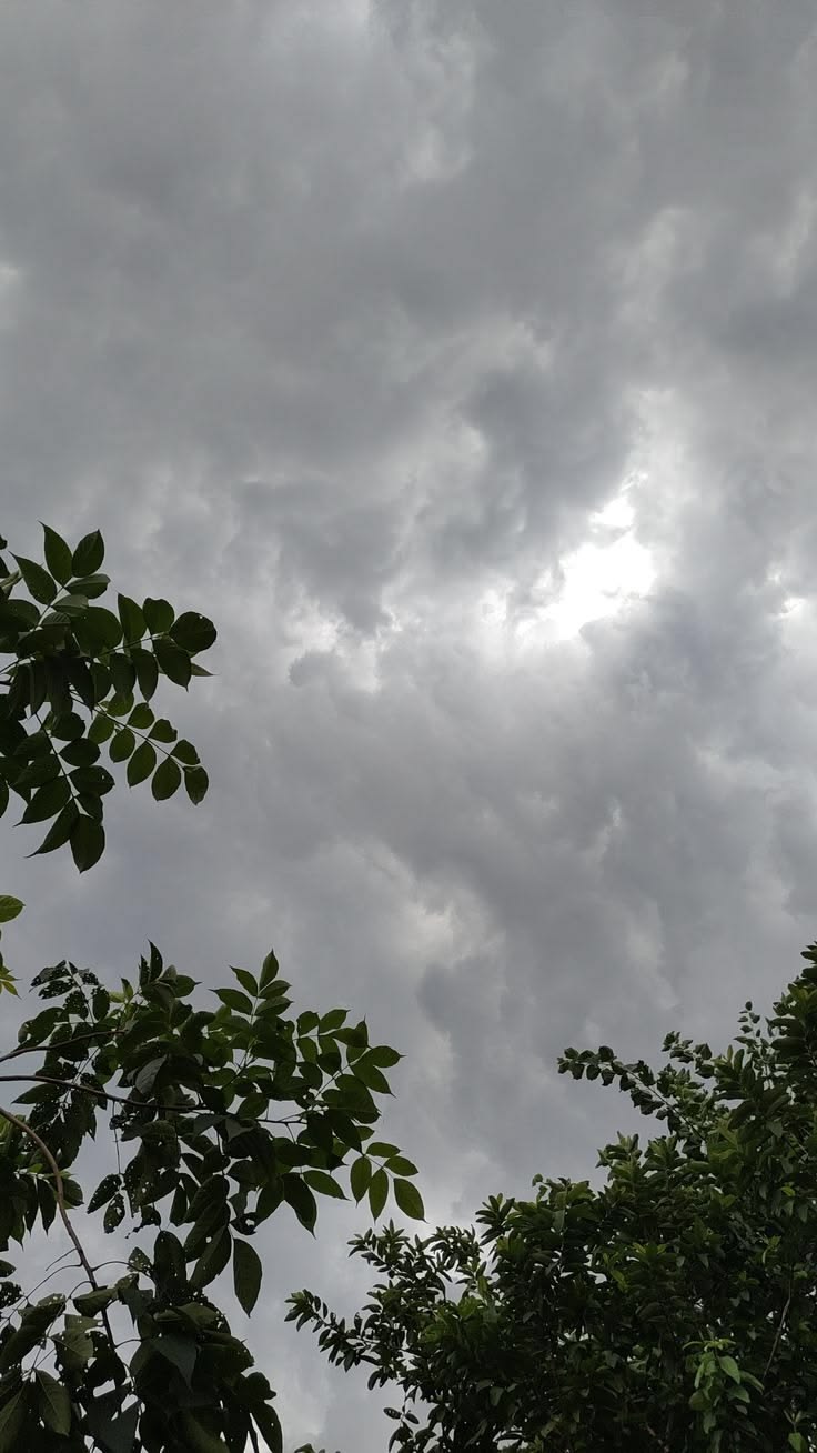 أمطار رعدية ورياح نشطة على عدة مناطق في المملكة