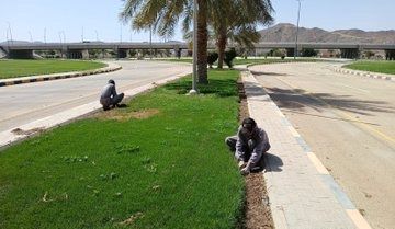 أمانة نجران تؤكد استمرار أعمال العناية بالمرافق وتعزيز المشهد الحضري