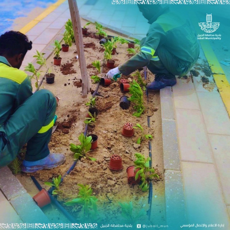 بلدية الجبيل تنفذ اعمال تحسين المشهد الحضري ضمن جهود رفع جودة الحياة