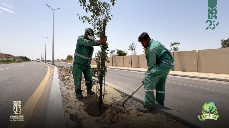 أمانة الأحساء تعزز الاستدامة البيئية بمبادرات التشجير في يوم الأرض العالم
