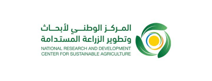 تدريب ميداني يعزز إنتاج وجودة المانجو في قلوة