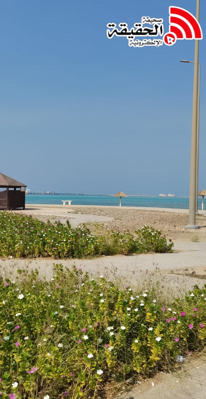 أجواء حارة ورياح مثيرة للأتربة تضرب المملكة والخليج