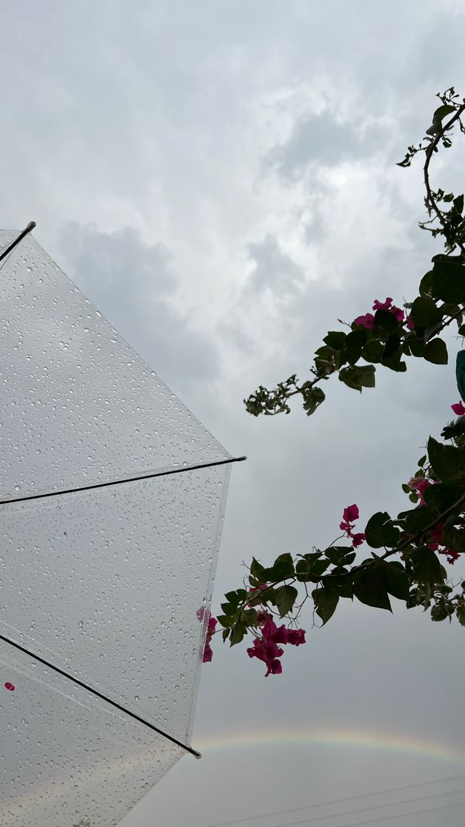 تقلبات جوية نشطة وأمطار وسيول متوقعة في عدة مناطق اليوم