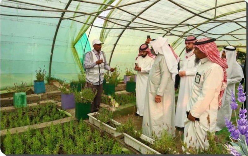عسير تُزهر بالعطر الأخضر البيئة تواصل فعاليات أسبوع البيئة