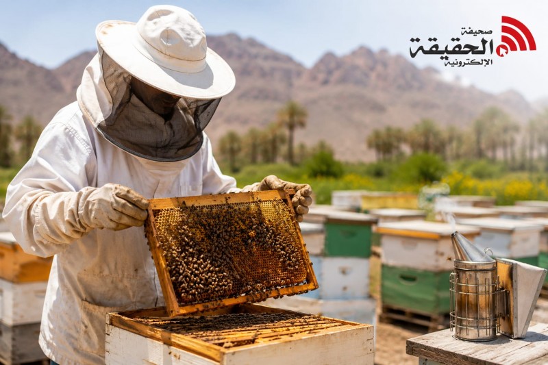 ريف السعودية ينجز 5 مشاريع لدعم قطاع العسل بـ38 مليون ريال