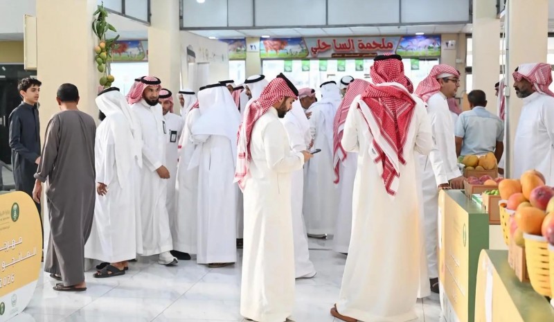 مهرجان المانجو بالمخواة يختتم فعالياته بمشاركة واسعة وإنتاج يتجاوز 15 طنًا