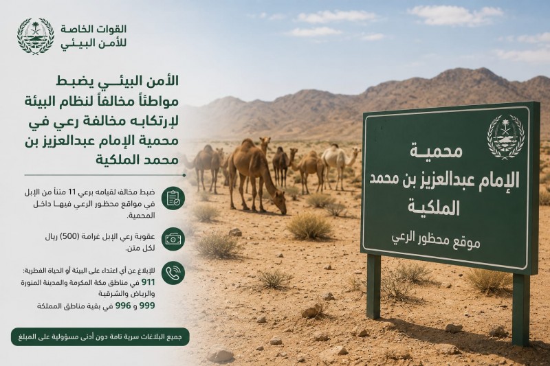الأمن البيئي يعزز حماية المحميات بضبط مخالفة رعي للإبل