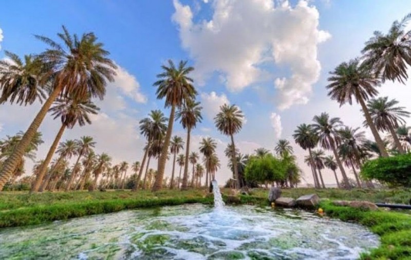 المياه تحفظ هوية الأحساء الزراعية وتدعم إرثها الوطني