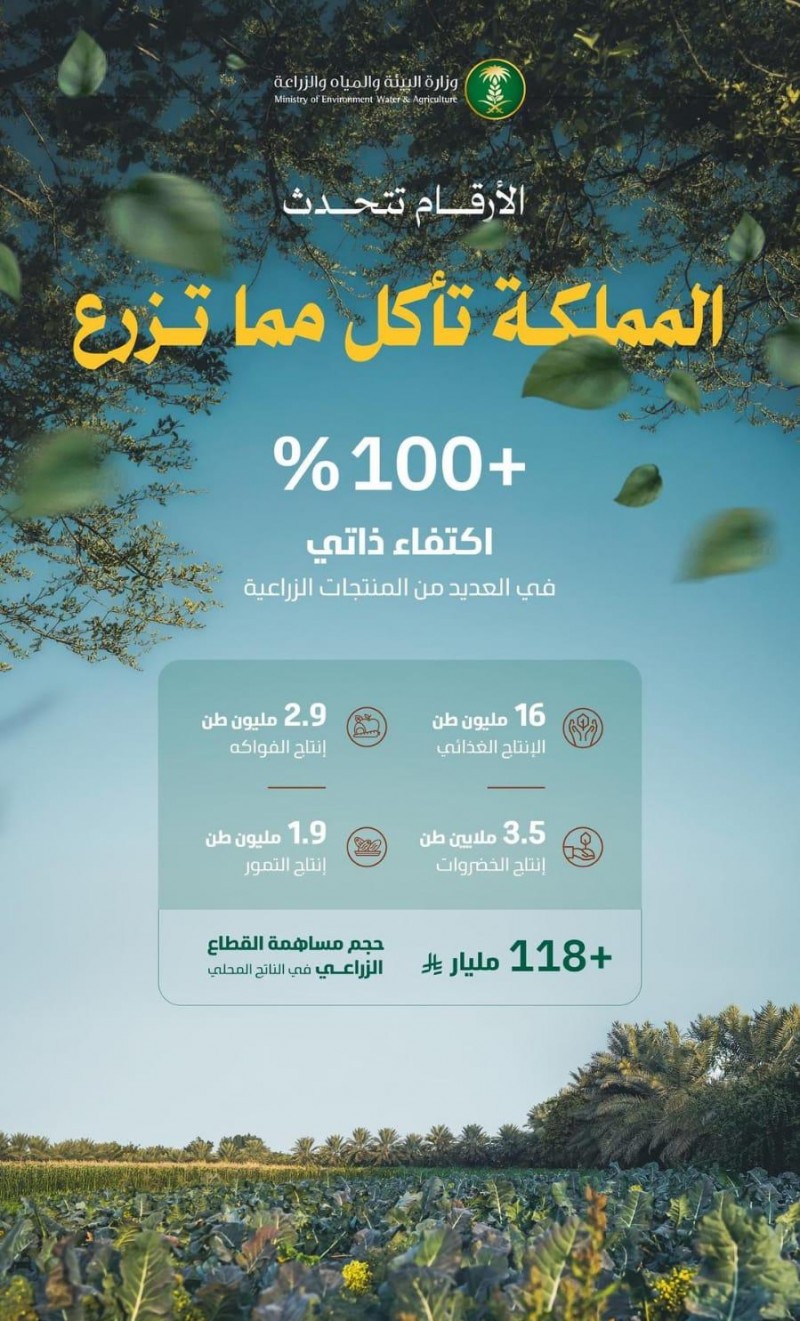 البيئة: تؤكد تصاعد مؤشرات الأمن الغذائي واستدامة الإنتاج المحلي البيئة: تؤكد تصاعد مؤشرات الأمن الغذائي واستدامة الإنتاج المحلي
