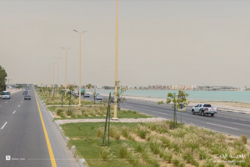 بلدية الخبر تكثّف التشجير بأشجار ملائمة للبيئة المحل