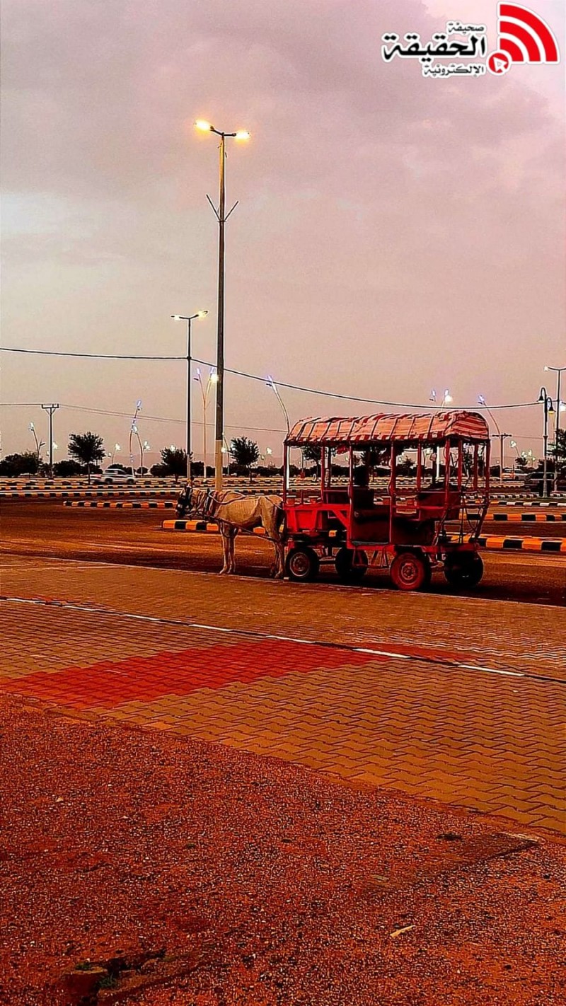 مهرجان عقلة الصقور في القصيم