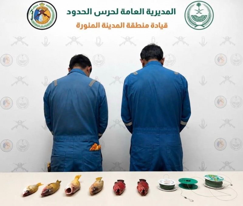 حرس الحدود بينبع يضبط مقيمين للصيد دون تصريح حرس الحدود بينبع يضبط مقيمين للصيد دون تصريح