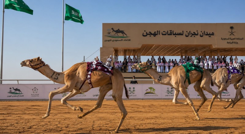 ميدان نجران يستعد لانطلاق سباق اللقايا فما فوق بـ22 شوطًا غدًا