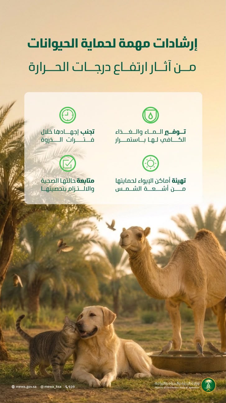 البيئة تنشر إرشادات لحماية الحيوانات من ارتفاع درجات الحرارة